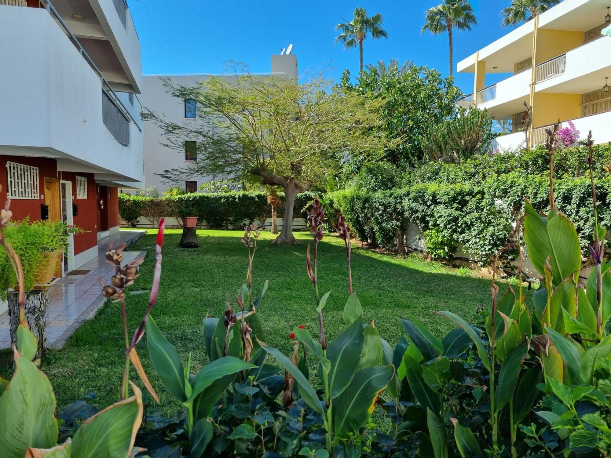Apartment With Sea View Close To Dunes Of Playa Del Ingles San Bartolomé Extérieur photo
